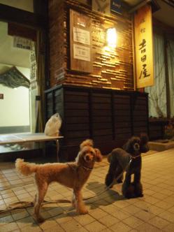 お泊まり