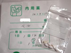 お薬、抗生物質