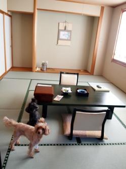 お部屋はこんな感じ