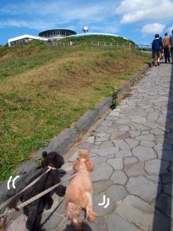 山頂へ向かってます