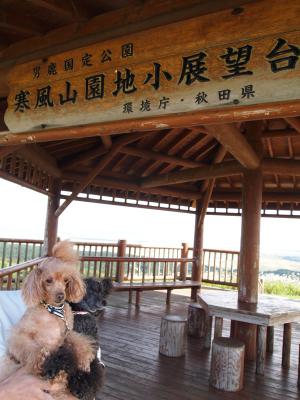 小展望台