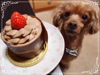 誕生日!