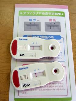 検査結果