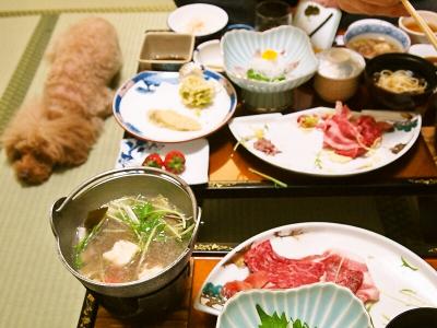 ベルちゃん、寝たふり