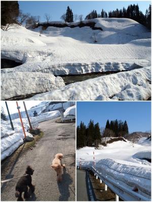 雪多い