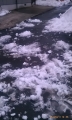 IMAG0348.jpg