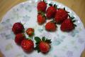 P1000405.jpg