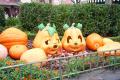 P1000758-2.jpg