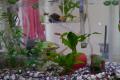 P1010479-2.jpg