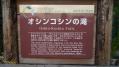 P1020321-2.jpg
