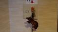 P1020332-2.jpg