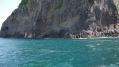 P1020418-2.jpg
