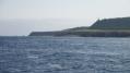 P1020472-2.jpg