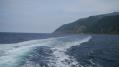 P1020490-2.jpg