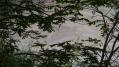P1020511-2.jpg