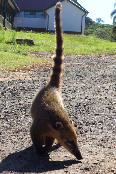 DSC00858.jpg