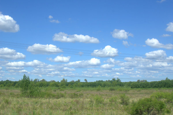 DSC_3353.jpg
