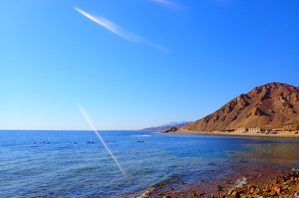 PB060010.jpg