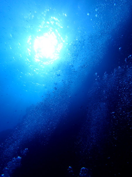 PB120642.jpg