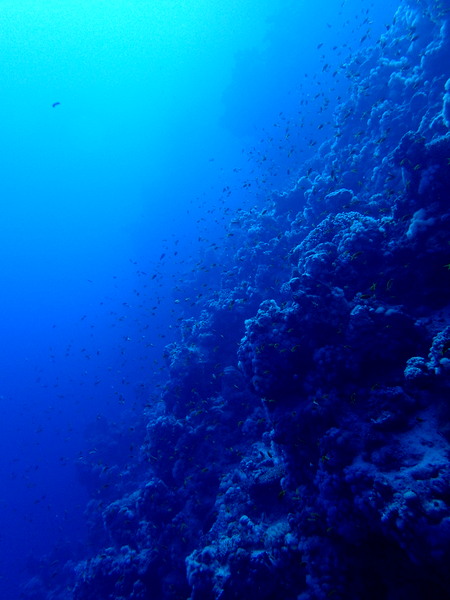 PB120661.jpg