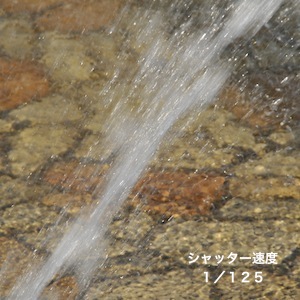 DSC_2895.jpg