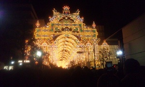 2012ruminarieiriguti