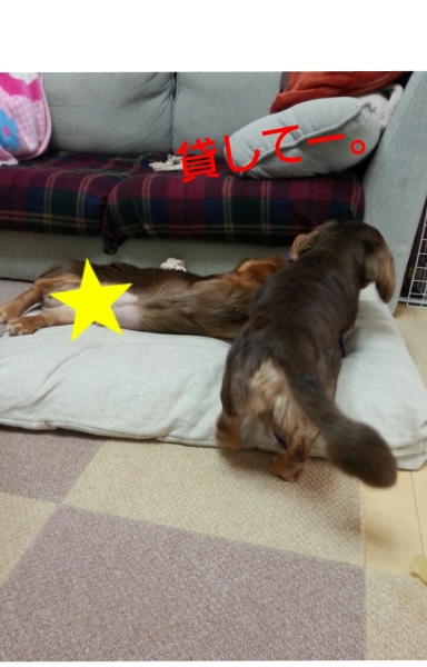 20140209_084005.jpg