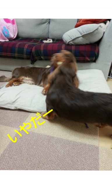 20140209_084059.jpg