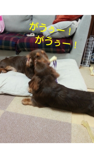 20140209_084206.jpg