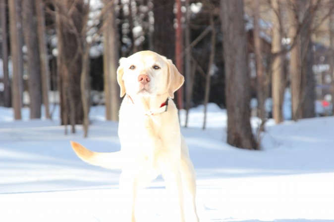 20140208a.jpg