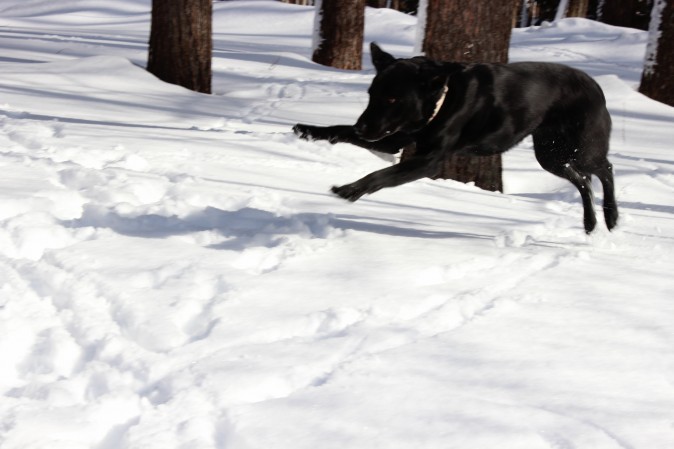 20140208d.jpg