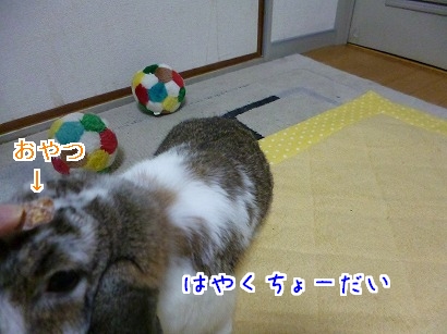 P1040877.jpg