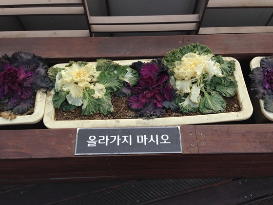 140103G10.jpg