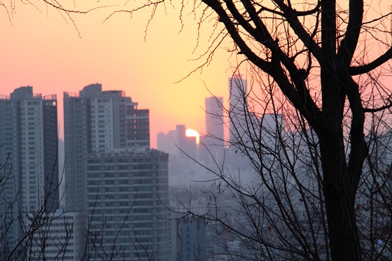 140118namsan (36)