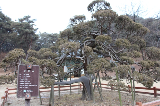 140201temple (6)