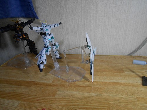 DSCN7811.jpg