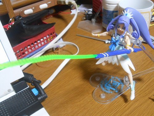 DSCN7991.jpg