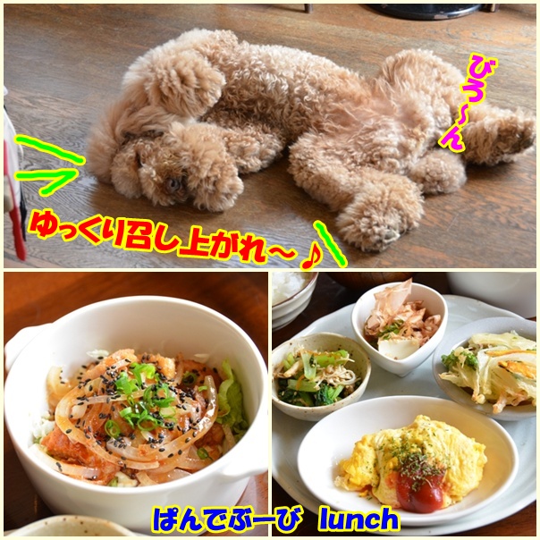 1page_20120614215311.jpg