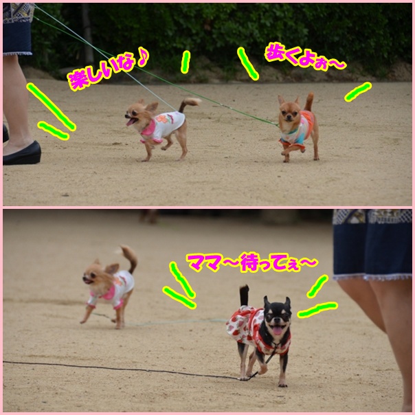 1page_20120615220127.jpg