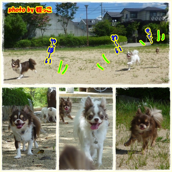 1page_20120822192224.jpg