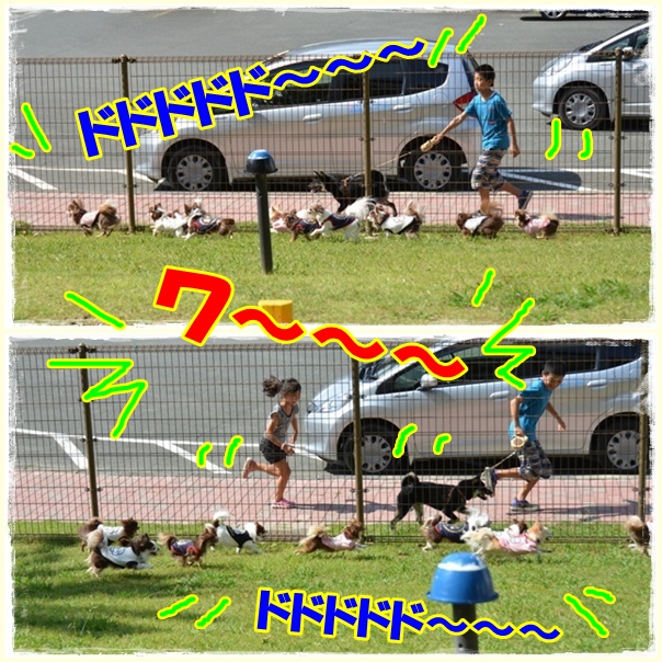 1page_20121017154533.jpg
