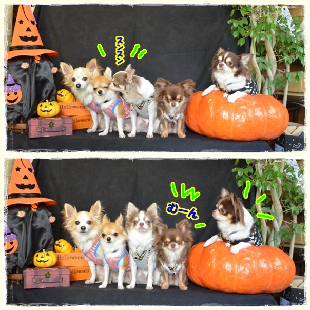 1page_20121031211307.jpg
