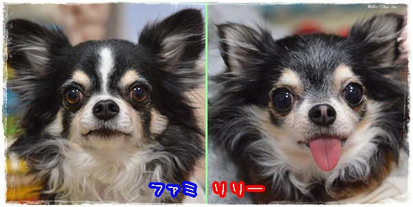 1page_201402051756121fb.jpg