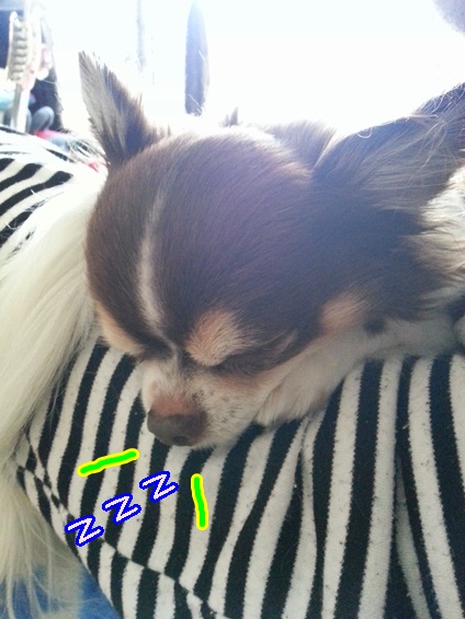 20140209_114014.jpg