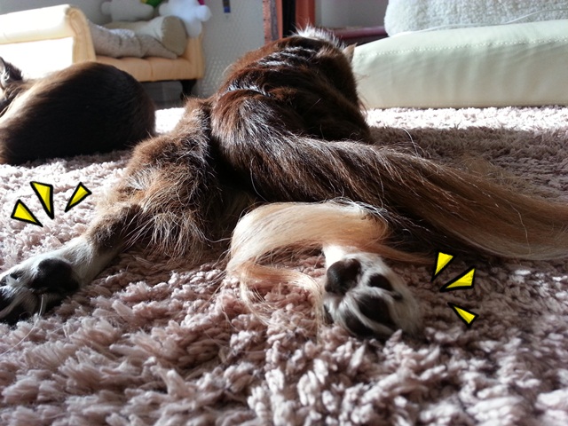 20140211_154530.jpg