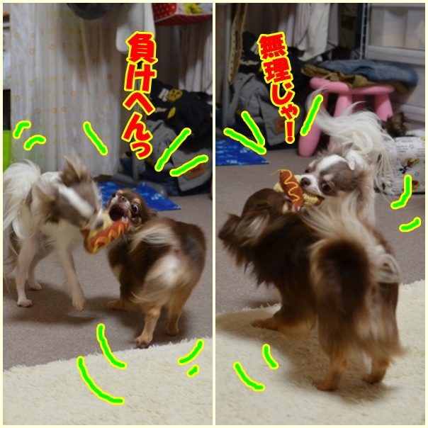 2page_20120629215423.jpg