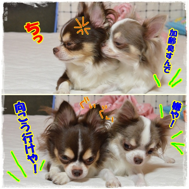 2page_20121004221125.jpg