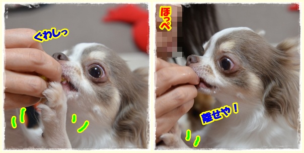 2page_20121103210037.jpg