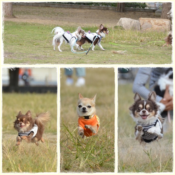 3page_20121011212720.jpg