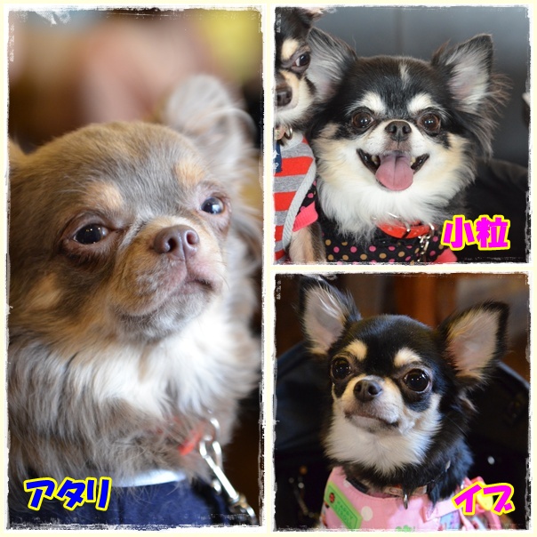 3page_20121203215003.jpg